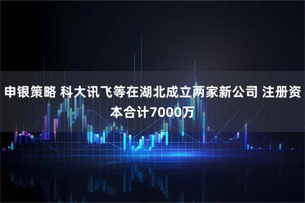 申银策略 科大讯飞等在湖北成立两家新公司 注册资本合计7000万