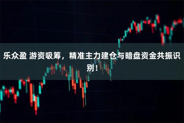 乐众盈 游资吸筹，精准主力建仓与暗盘资金共振识别！