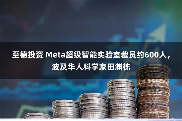 至德投资 Meta超级智能实验室裁员约600人，波及华人科学家田渊栋